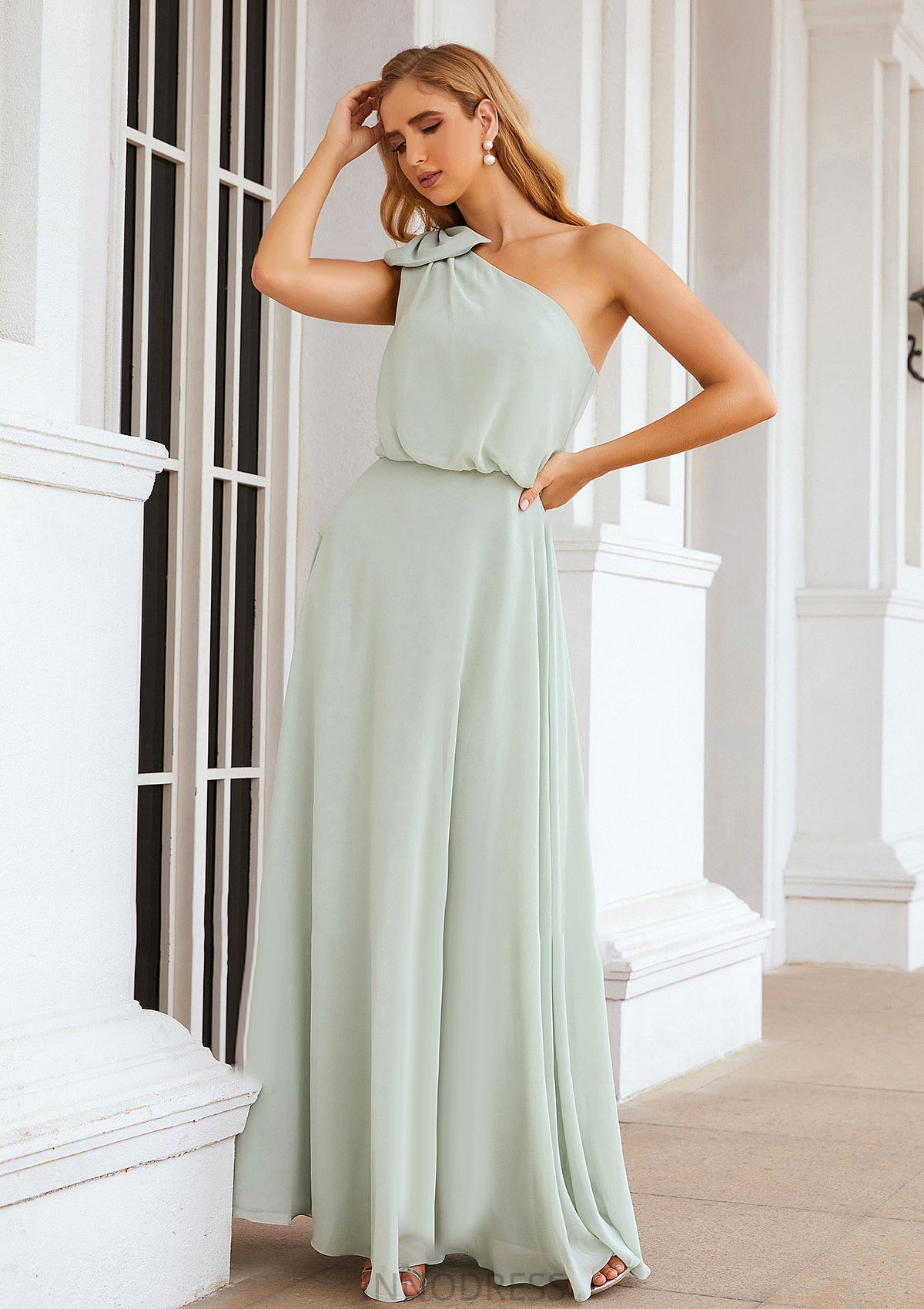 A-line One-Shoulder Sleeveless Long/Floor-Length Chiffon Bridesmaid Dresses With Shoulder Flower Felicity DPP0025369