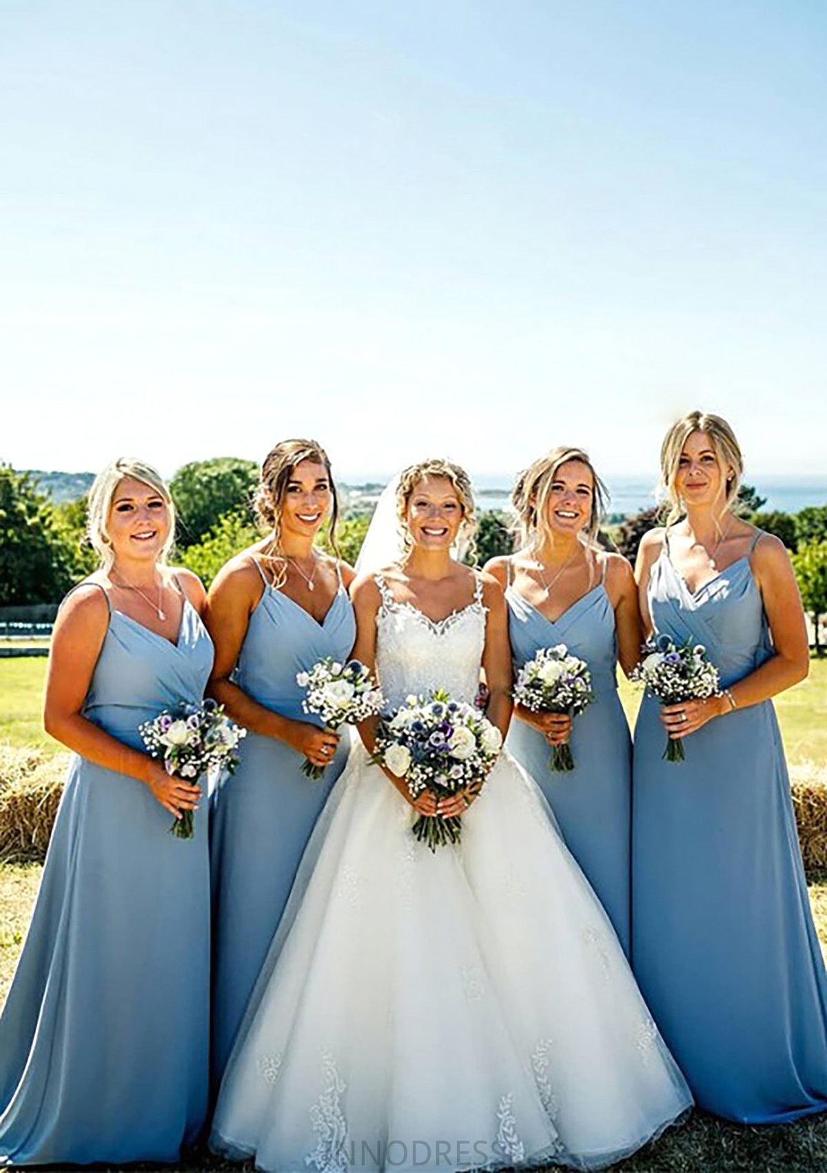 A-line V Neck Sleeveless Court Train Chiffon Bridesmaid Dresses With Pleated Sierra DPP0025419